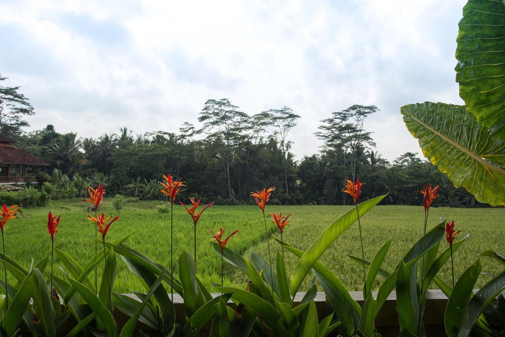 Alosta Luxury Private Villa Ubud  Exterior photo